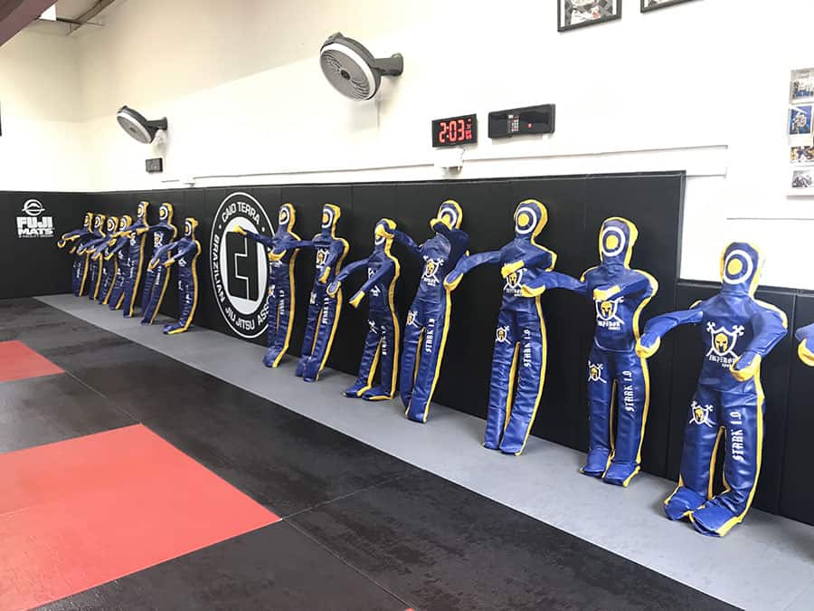 Ybor City Jiu Jitsu Club google reviews